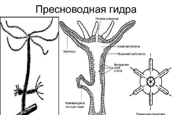 Darknet онлайн